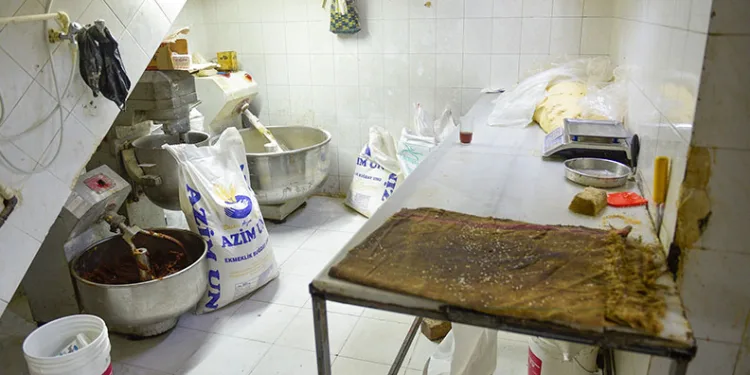 Adana’da mide bulandıran görüntü