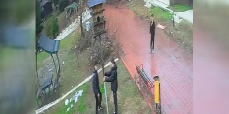 Kuş yuvasını parçalayan 4 çocuğa ev hapsi cezası