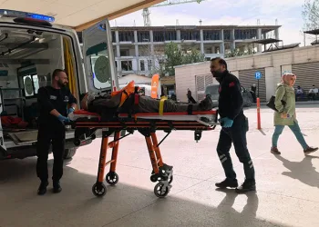 Bursa’da ceviz ağacından düşen yaşlı adam ağır yaralandı