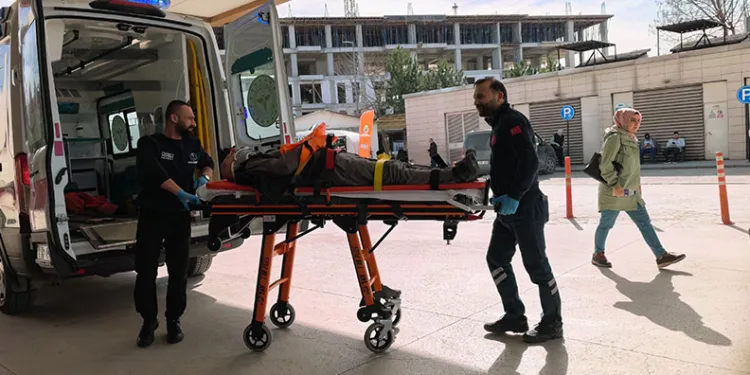 Bursa’da ceviz ağacından düşen yaşlı adam ağır yaralandı