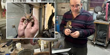 Ormanda bulduğu sincap en yakın dostu oldu