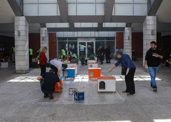 Can dostlara sıcak yuva