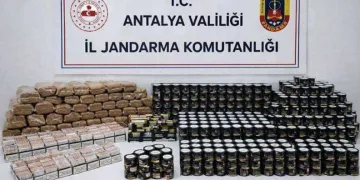 Alanya’da jandarmadan kaçak tütün operasyonu
