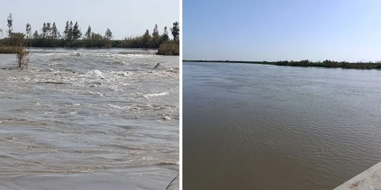 Seyhan Nehri taştı, Tarsus’ta bazı tarım arazileri sular altında kaldı