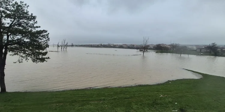 Meriç Nehri’nden taşan sular yaşam alanlarına kadar ulaştı
