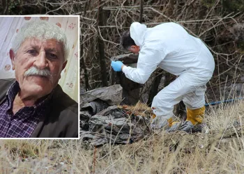 İlber Ortaylı’ya hüzün dolu veda