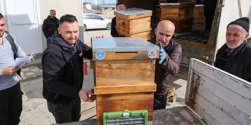 Kırsal üretime kovan desteği