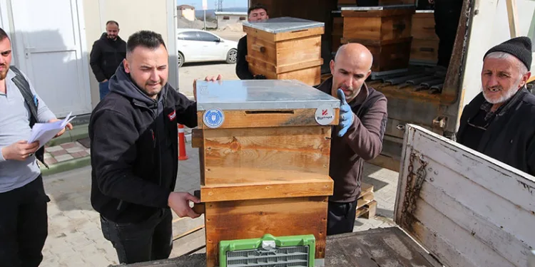 Kırsal üretime kovan desteği
