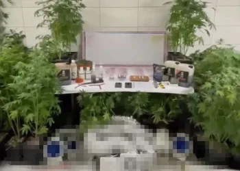 Bursa’da jandarmadan uyuşturucu operasyonu