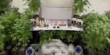 Bursa’da jandarmadan uyuşturucu operasyonu