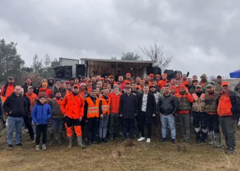 Buldan’da düzenlenen resmi avda 56 yaban domuzu avlandı