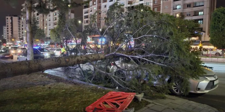 Meteoroloji’den ‘kuvvetli rüzgar’ ve ‘fırtına’ uyarısı