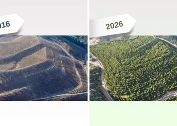 Maden sahaları rehabilitasyonla yeniden yeşeriyor