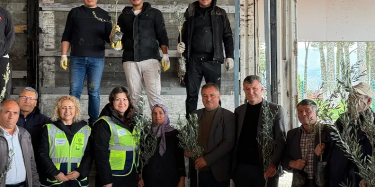 Beyağaç’ta kırsal kalkınmayı destek amacıyla zeytin fidanı dağıtımı gerçekleşti