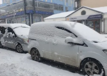 Başkale’de kar yağışı