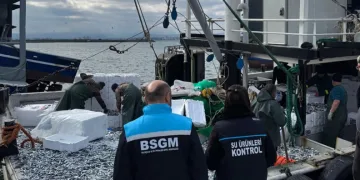 Kırklareli’de hamsi sevkiyatlarına denetim