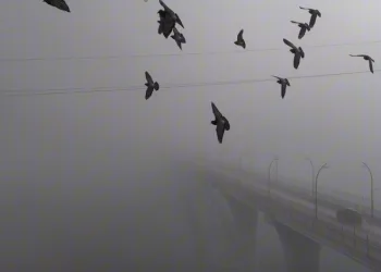 Yoğun sisten kaybolan yapılar dronla görüntülendi