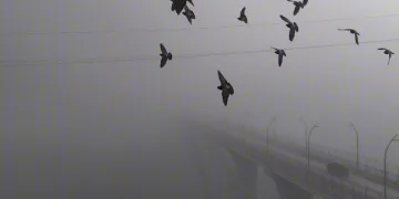 Yoğun sisten kaybolan yapılar dronla görüntülendi
