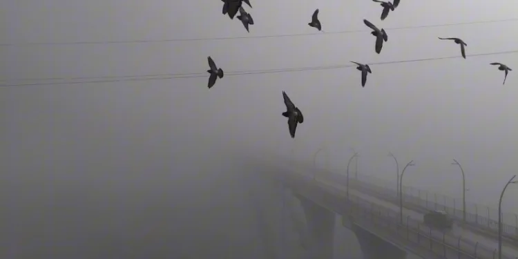 Yoğun sisten kaybolan yapılar dronla görüntülendi