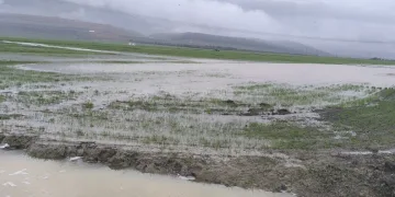 Gaziantep’te tarım arazileri su altında kaldı