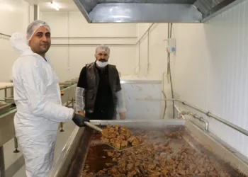 Cağ kebabın başkenti Oltu’da kavurma ve sucuk üretimi yapıyorlar