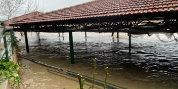 Sağanak sebebiyle Köprüçay taştı, iş yerleri ve araziler sular altında kaldı