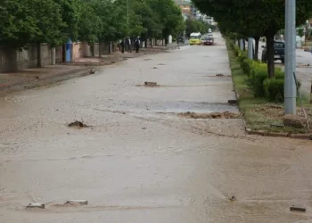 Develi’de aşırı yağış sele neden oldu, bazı ev ve ahırları su bastı