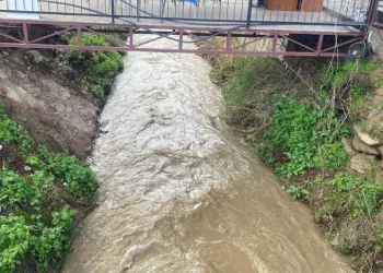 Bozdoğan’da sağanak yağışlar dereleri coşturdu