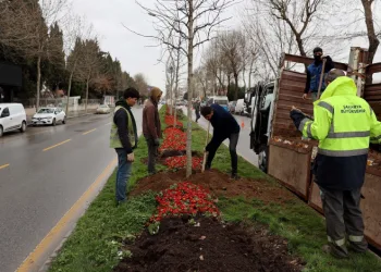 Sakarya’da 3 ayda 2 bin 500 ağaç dikildi