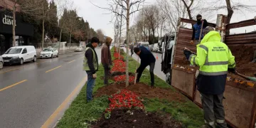 Sakarya’da 3 ayda 2 bin 500 ağaç dikildi