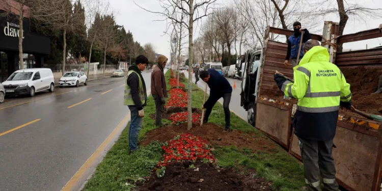 Sakarya’da 3 ayda 2 bin 500 ağaç dikildi
