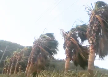 Muğla’ya fırtına uyarısı