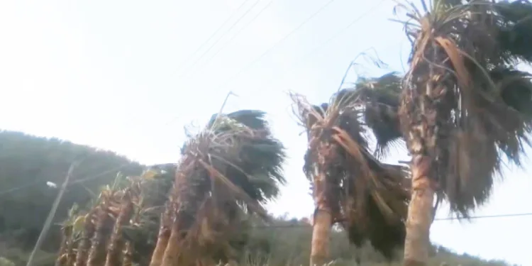 Muğla’ya fırtına uyarısı