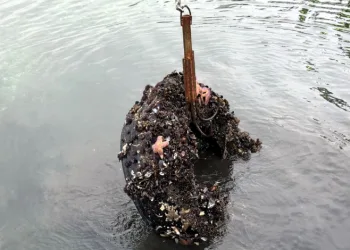 Kocaeli’de deniz dibinden 50 lastik çıktı