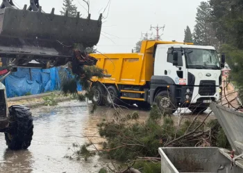 Akdeniz’de fırtına sonrası belediye ekipleri teyakkuzda