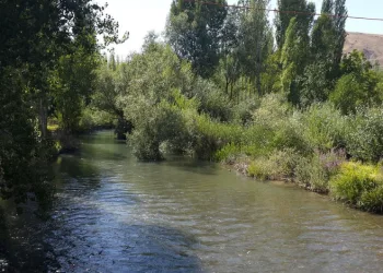 Tohma Çayı’nın ekolojik sağlığı bilimsel olarak ortaya kondu