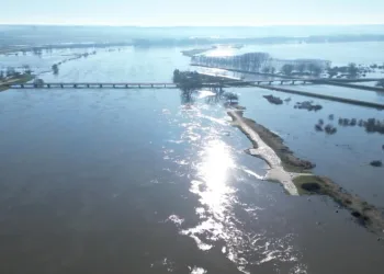 Edirne’de Meriç Nehri taştı, çok sayıda hobi bahçesi su altında kaldı