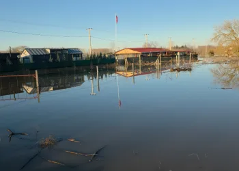 Taşkın sularının kapladığı tarım arazileri buz tuttu