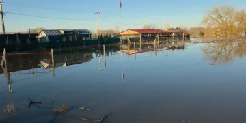 Taşkın sularının kapladığı tarım arazileri buz tuttu