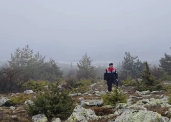 HAYDİ ekipleri doğadaki canlıları unutmadı
