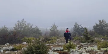 HAYDİ ekipleri doğadaki canlıları unutmadı
