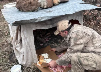 Köy yoluna bırakılan yavru köpeklere jandarmandan şefkat eli