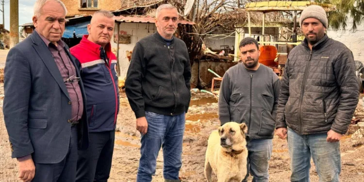 Söke Ovası’nda yağış sonrası zarar tespit çalışmaları