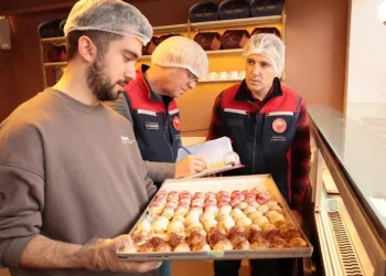 Çanakkale’de 9153 Gıda İşletmesi Denetlendi