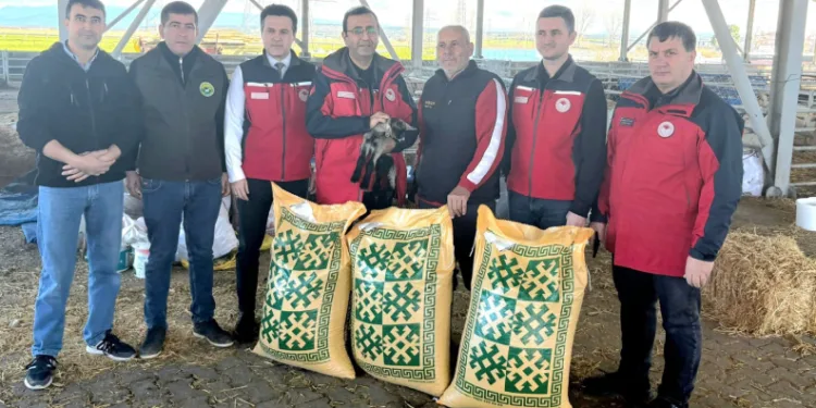 Ezine’de taşkından etkilenen yetiştiricilere yem desteği