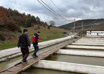 Çavdarhisar’da su ürünleri üretim tesislerinde denetim