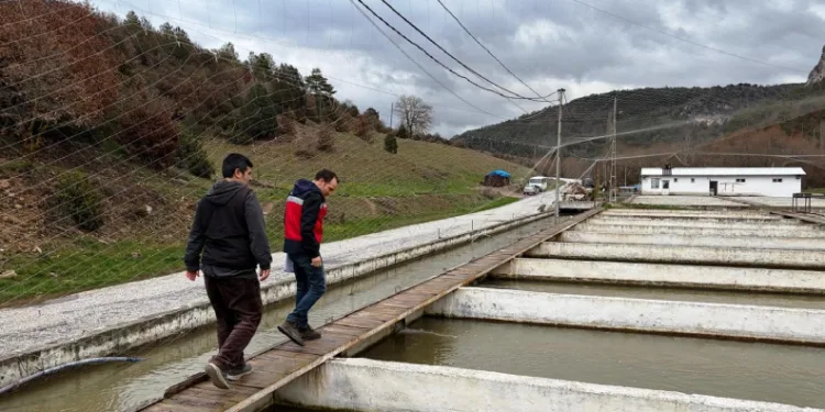 Çavdarhisar’da su ürünleri üretim tesislerinde denetim