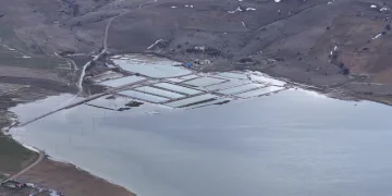 Yaz aylarında tamamen kuruyan göl, yeniden su tuttu
