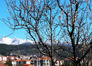 Muğla’da kış ve bahar aynı karede