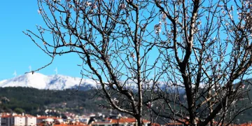 Muğla’da kış ve bahar aynı karede